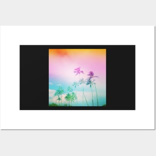 Pretty Palm Tree Skies Posters and Art